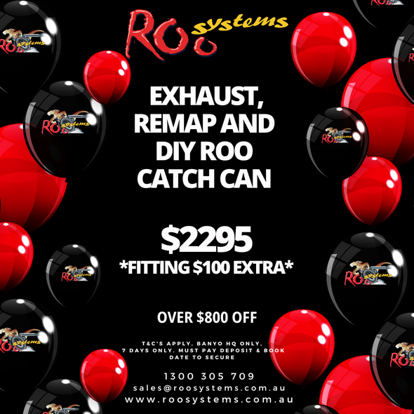 Exhaust, Remap and DIY Roo Catch Can (fitting $100 extra)