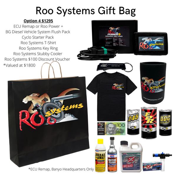 Roo Systems Gift Bag
